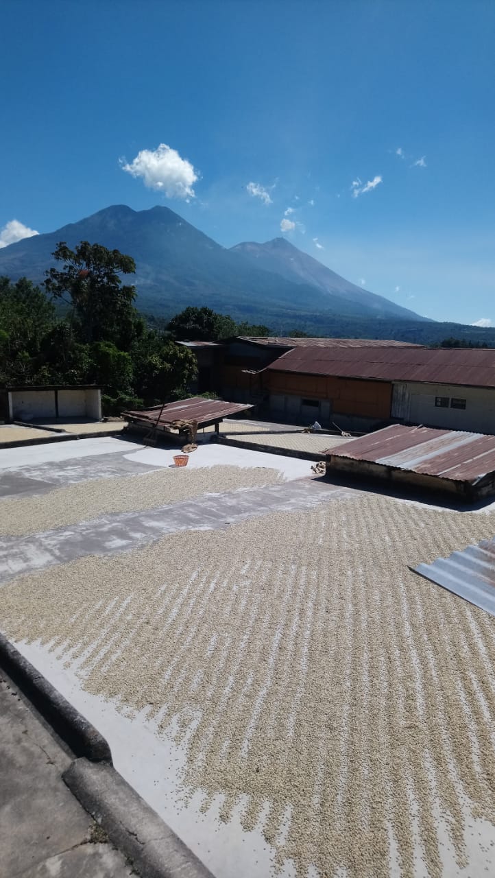 Gwatemala Acatenango